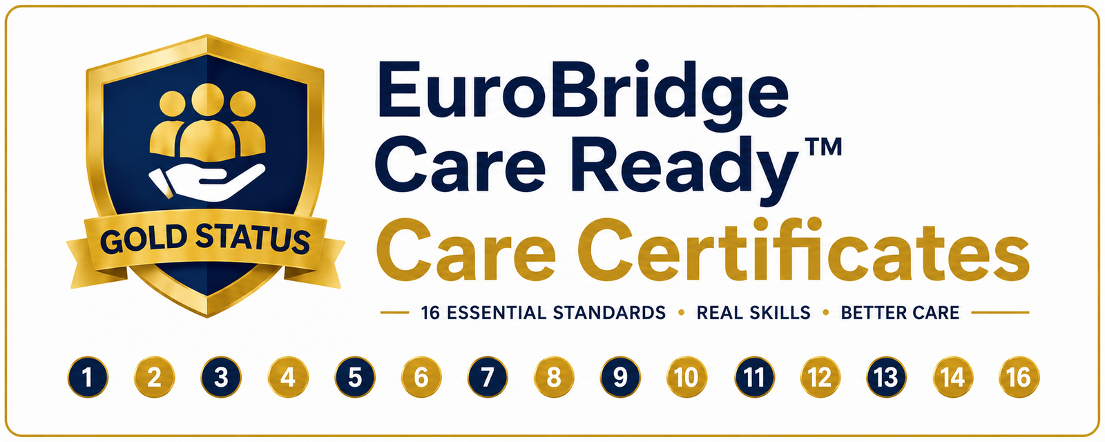 EuroBridge interactive Care Certificate learning